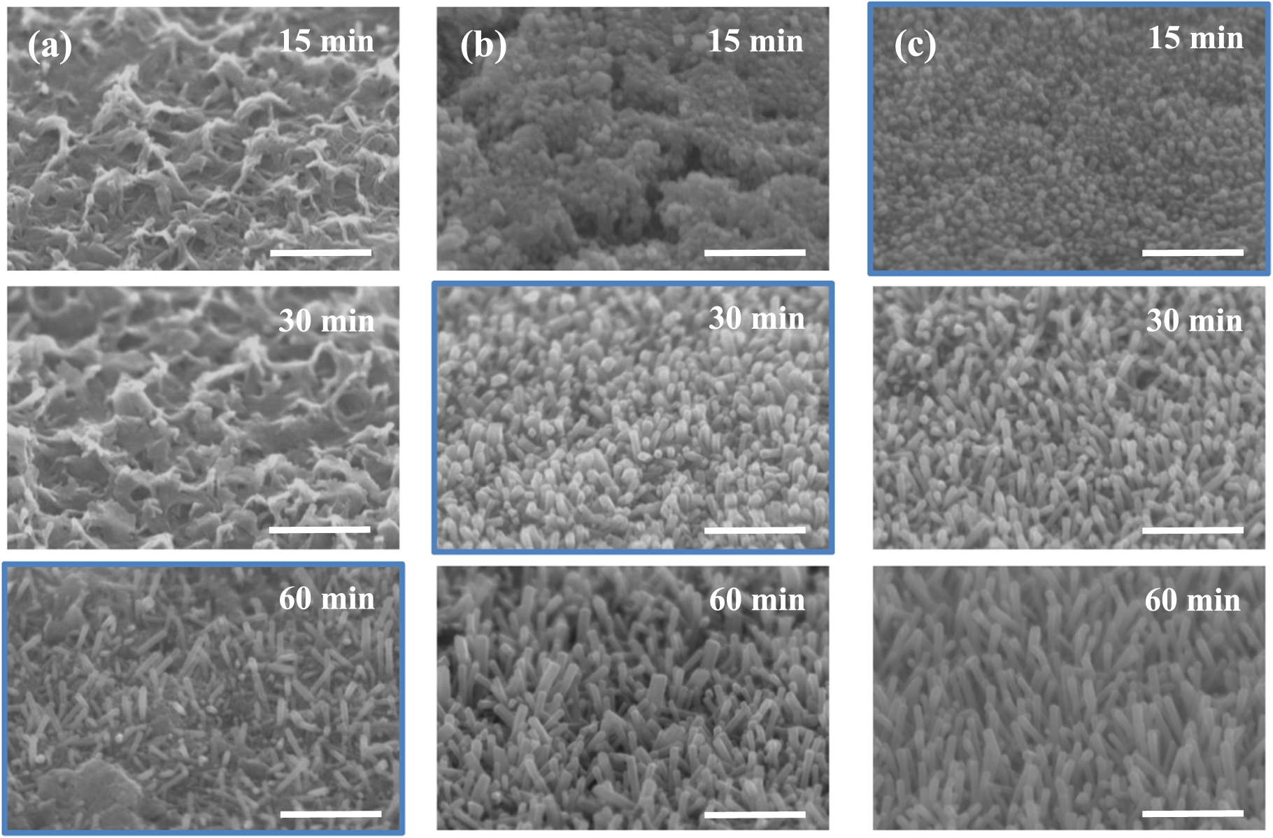 Selective growth of ZnO nanorods by thickness contrast in In-doped ZnO ...