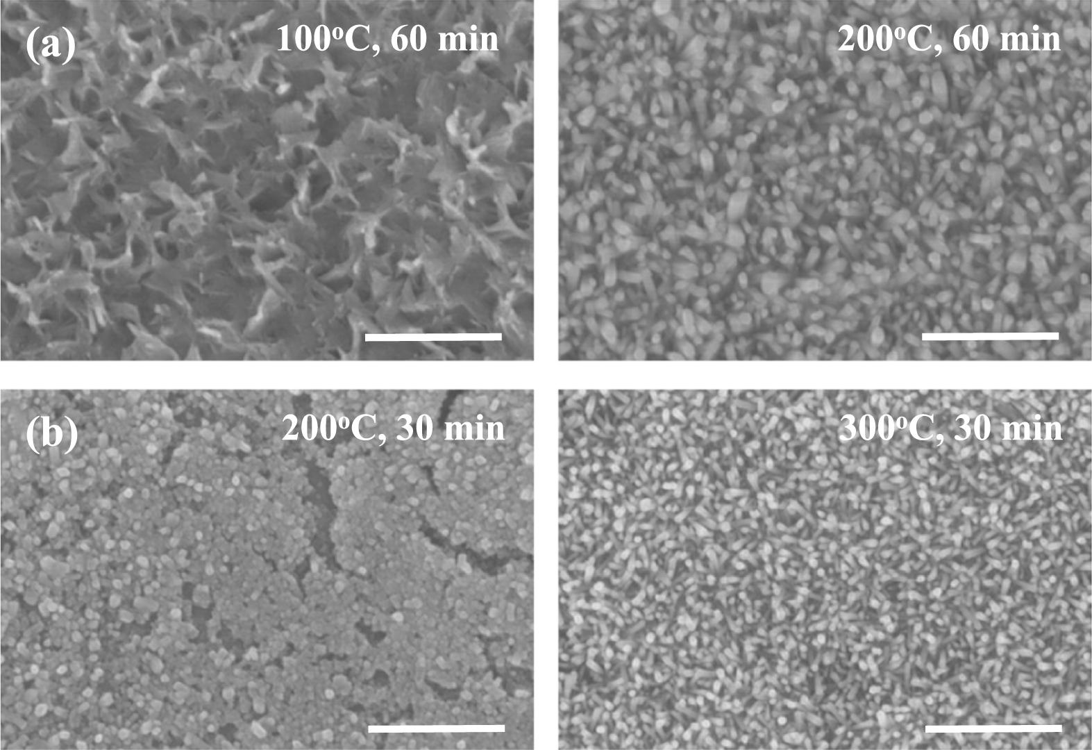 Selective growth of ZnO nanorods by thickness contrast in In-doped ZnO ...