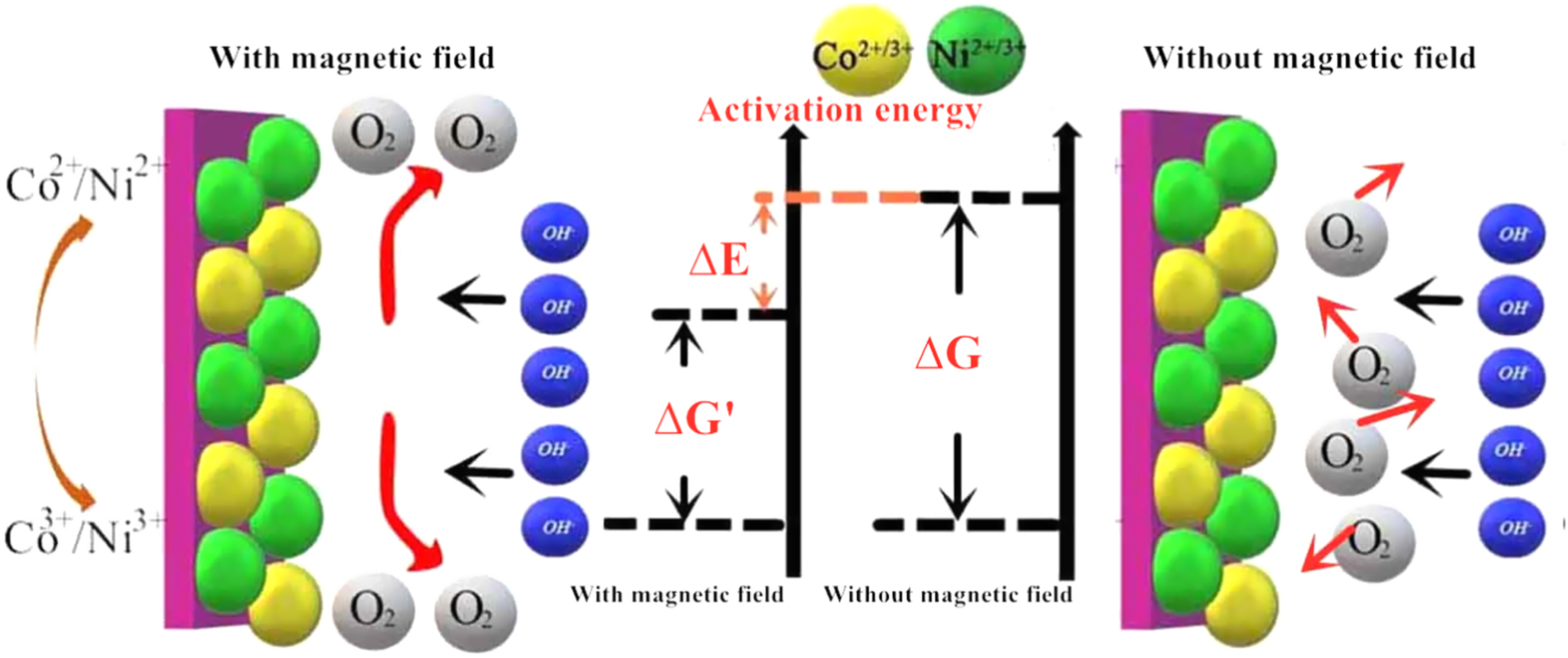 Magnetic enhancement of oxygen evolution reaction performance of NiCo ...