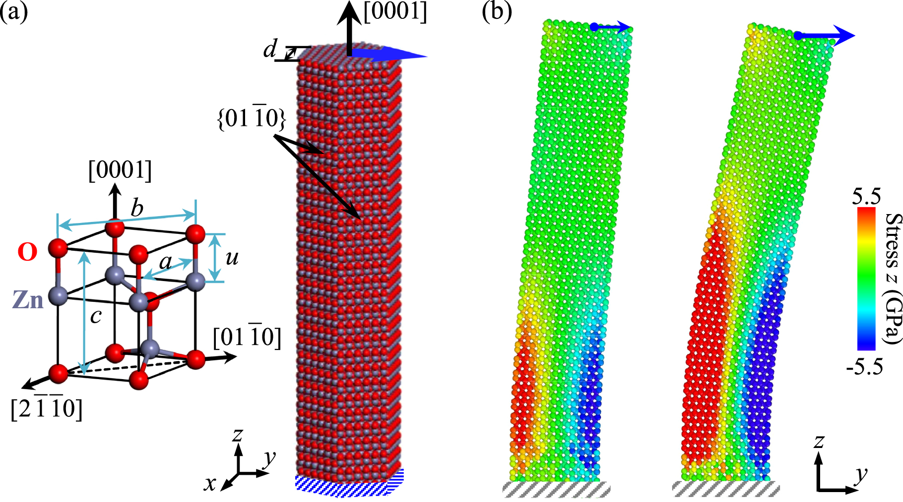 Phase transformation and its effect on the piezopotential in a bent ...