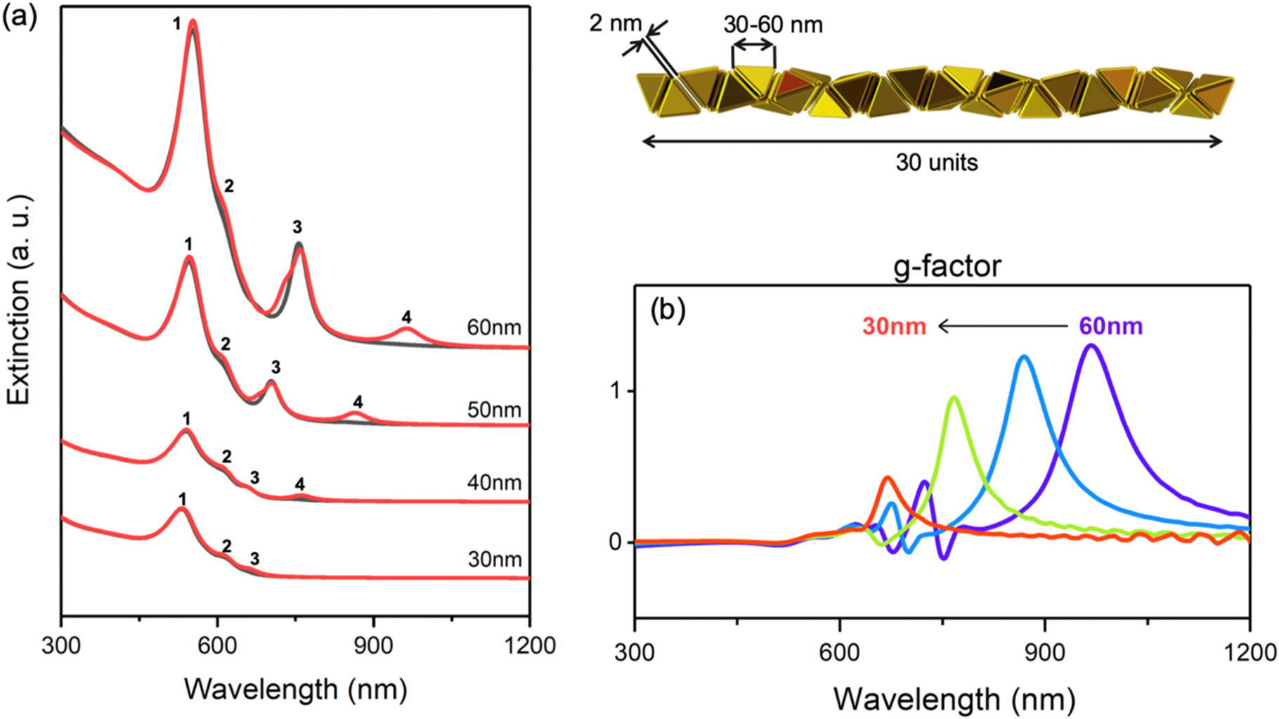 Interparticle gap geometry effects on chiroptical properties of ...