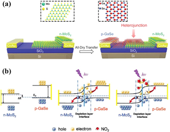 Gas sensing devices based on two-dimensional materials: a review ...