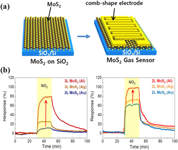 Gas sensing devices based on two-dimensional materials: a review ...