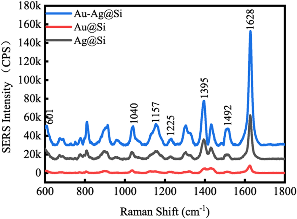 Surface-enhanced Raman Scattering of Au–Ag bimetallic nanopillars ...