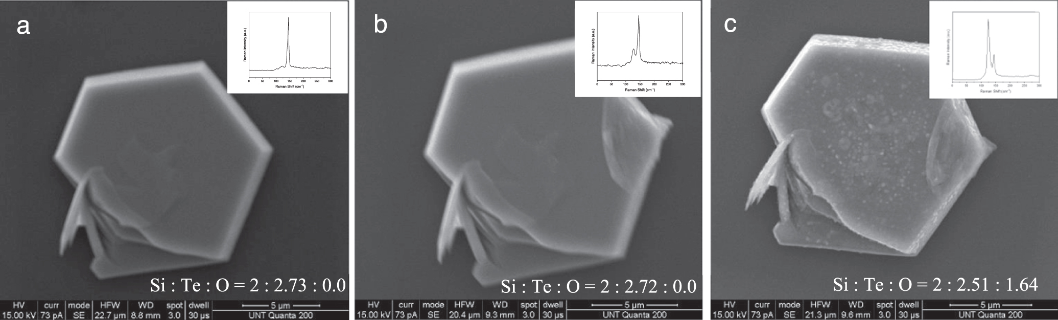 Raman study of silicon telluride nanoplates and their degradation