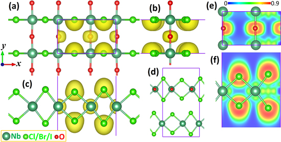 Highly anisotropic mechanical and optical properties of 2D NbOX2 (X ...