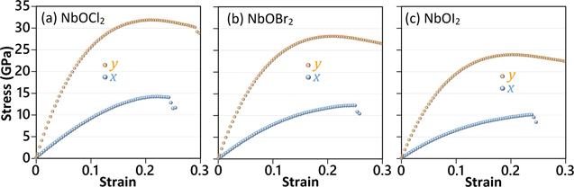 Highly anisotropic mechanical and optical properties of 2D NbOX2 (X ...