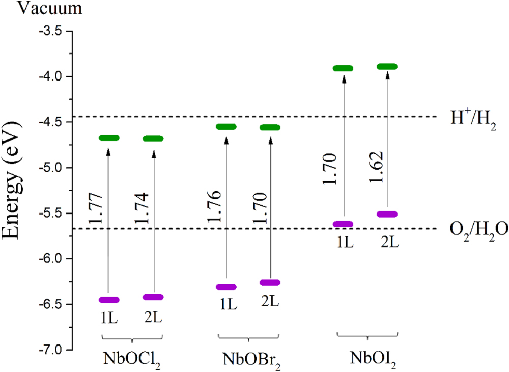Highly anisotropic mechanical and optical properties of 2D NbOX2 (X ...