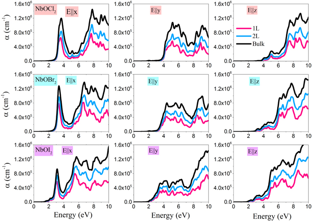 Highly anisotropic mechanical and optical properties of 2D NbOX2 (X ...