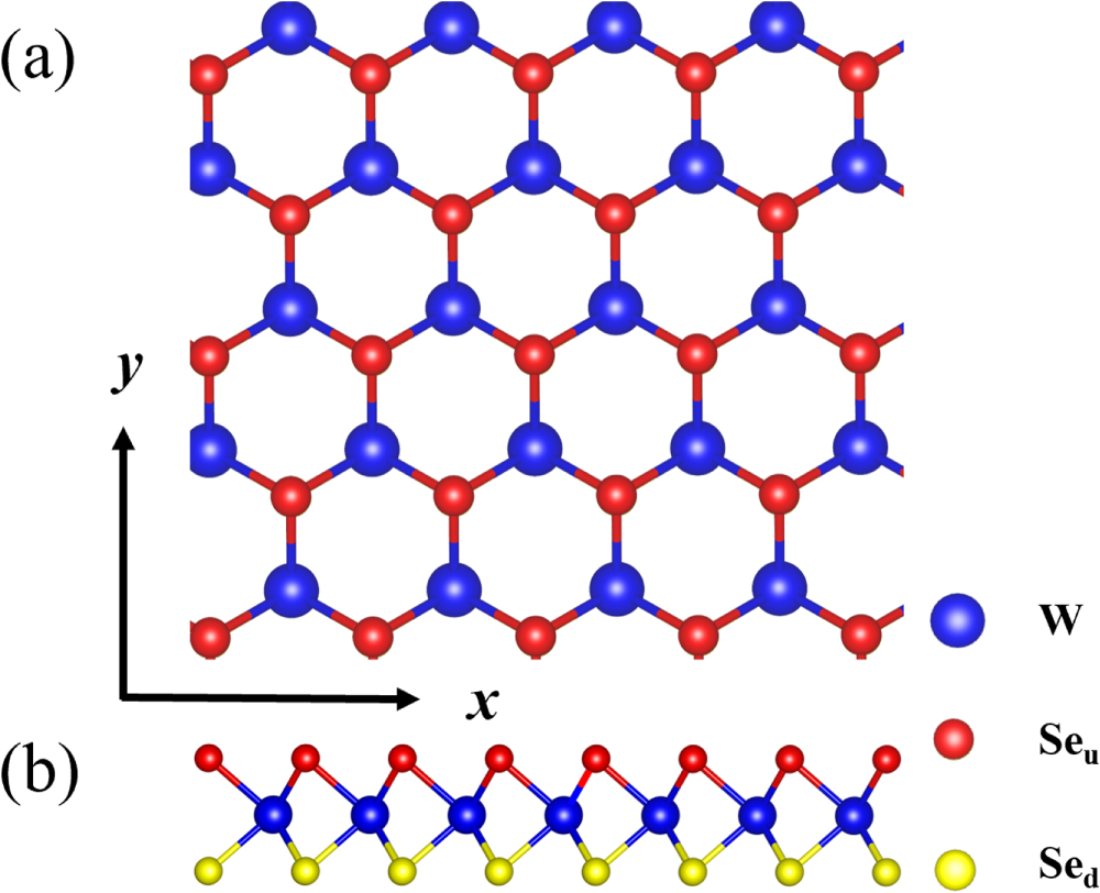 Strong reduction of thermal conductivity of WSe2 with introduction of ...