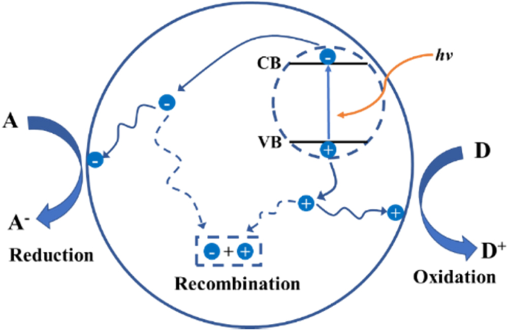 Photocatalytic hydrogen evolution based on carbon nitride and organic ...