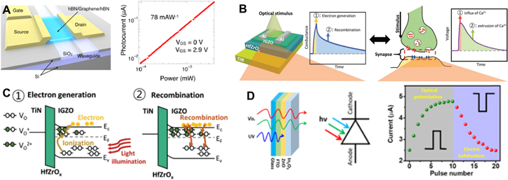 Optical and optoelectronic neuromorphic devices based on emerging ...