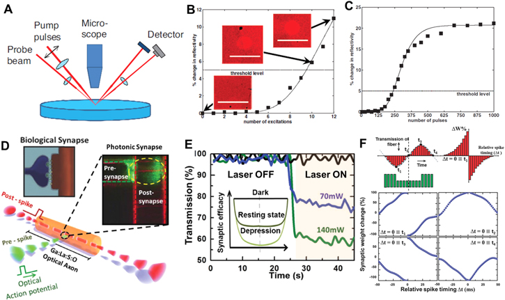 Optical and optoelectronic neuromorphic devices based on emerging ...