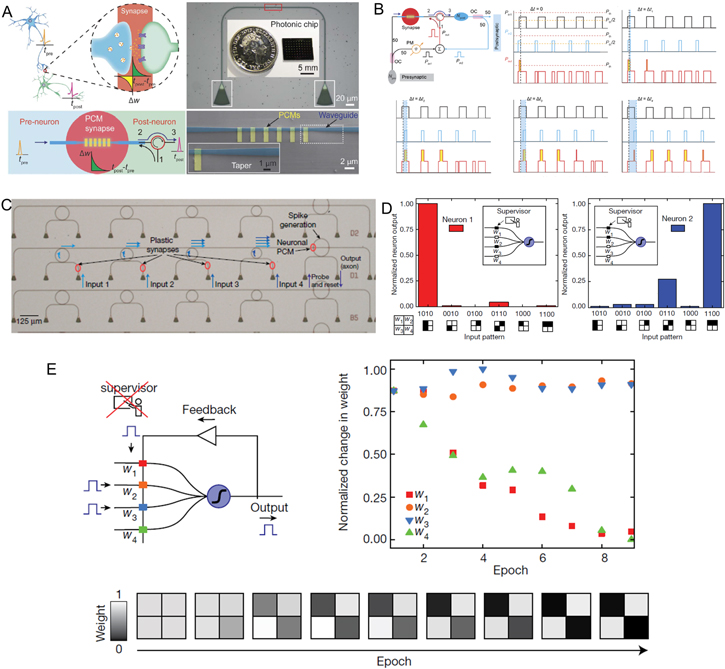 Optical and optoelectronic neuromorphic devices based on emerging ...