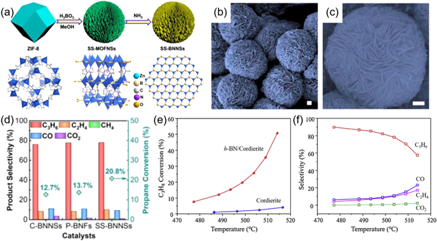 Boron nitride materials as emerging catalysts for oxidative ...
