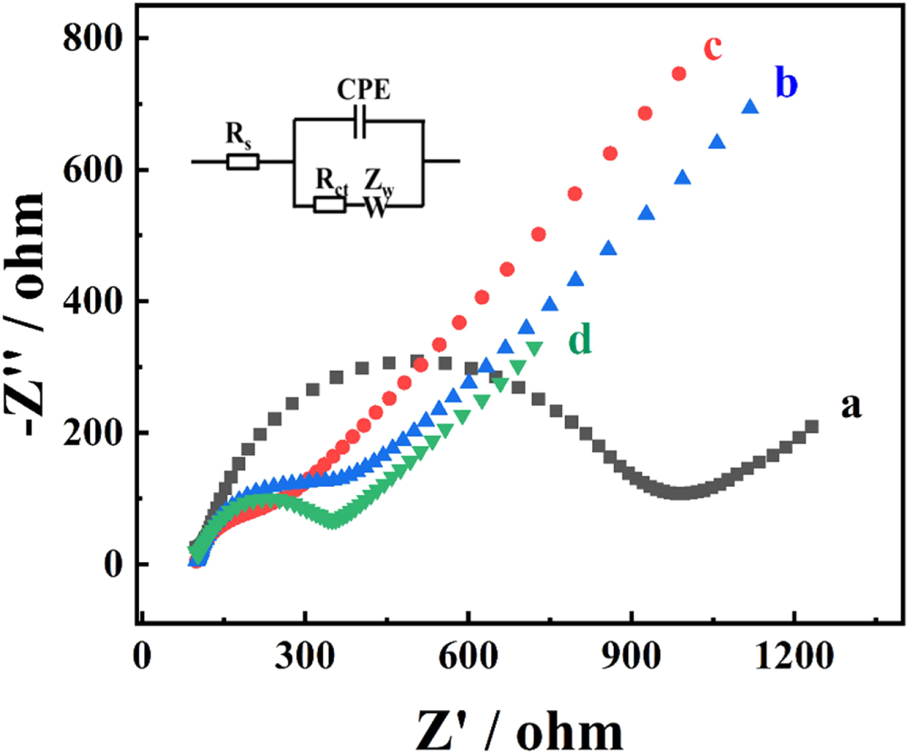 A facile fabrication of ratiometric electrochemical sensor for ...