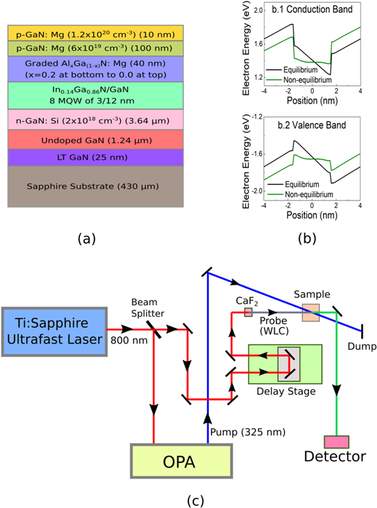 Real-time observation of delayed excited-state dynamics in InGaN/GaN ...