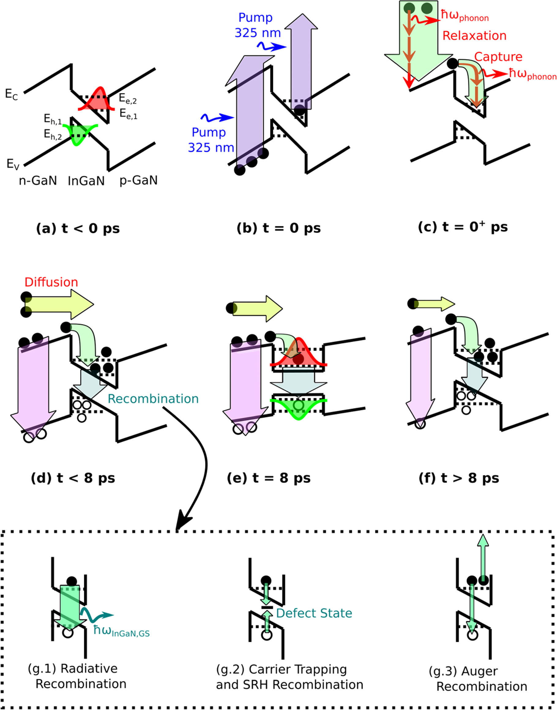 Real-time observation of delayed excited-state dynamics in InGaN/GaN ...