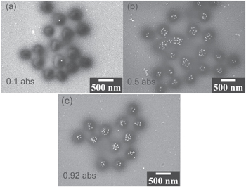 Controlled assembly of gold nanoparticles in resonant gold ...
