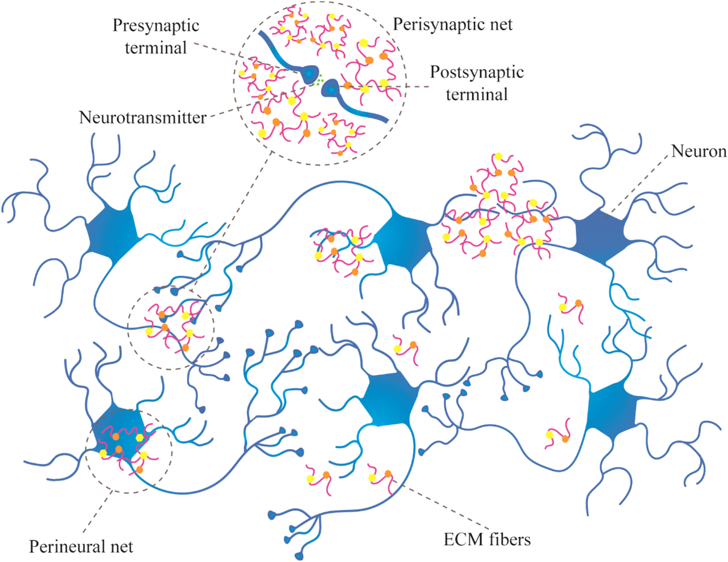 Bioinspired micro- and nano-structured neural interfaces - IOPscience