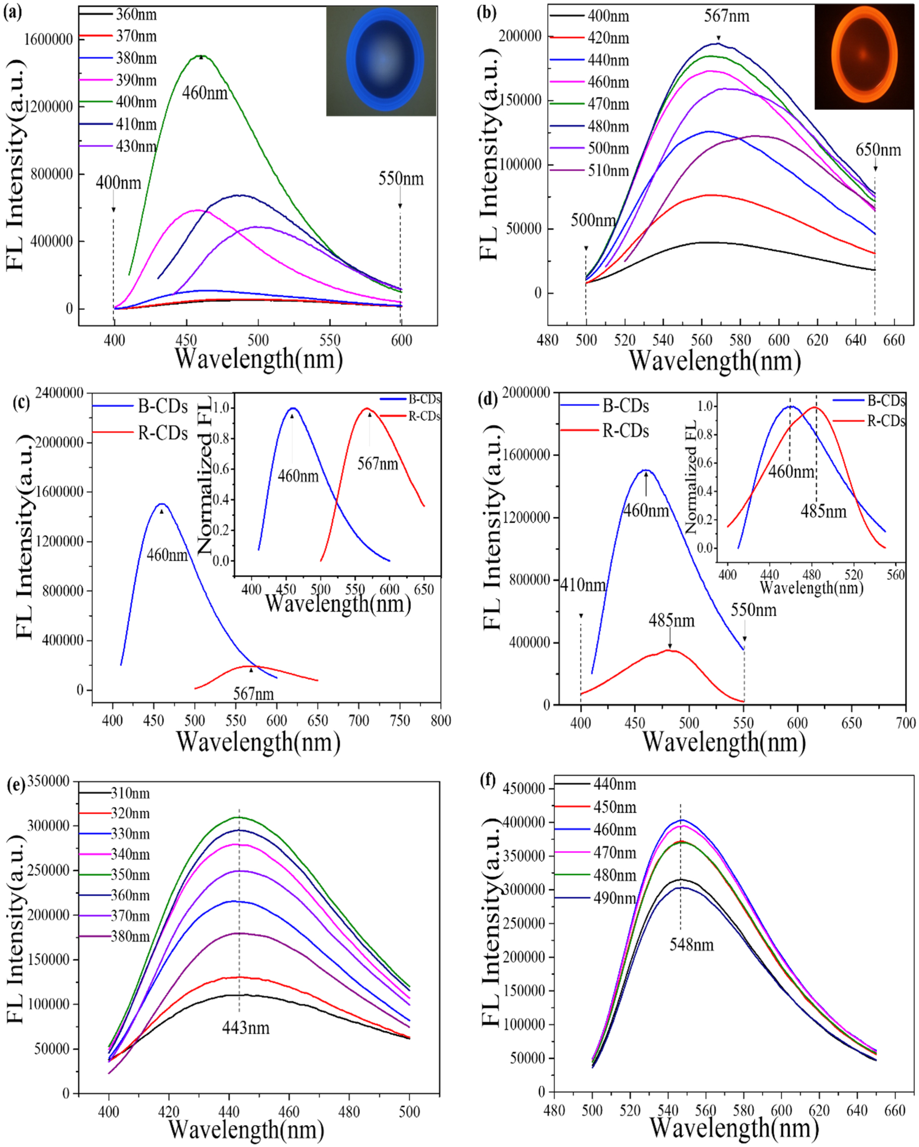 Rapid FRET-based homogeneous immunoassay of procalcitonin using matched ...