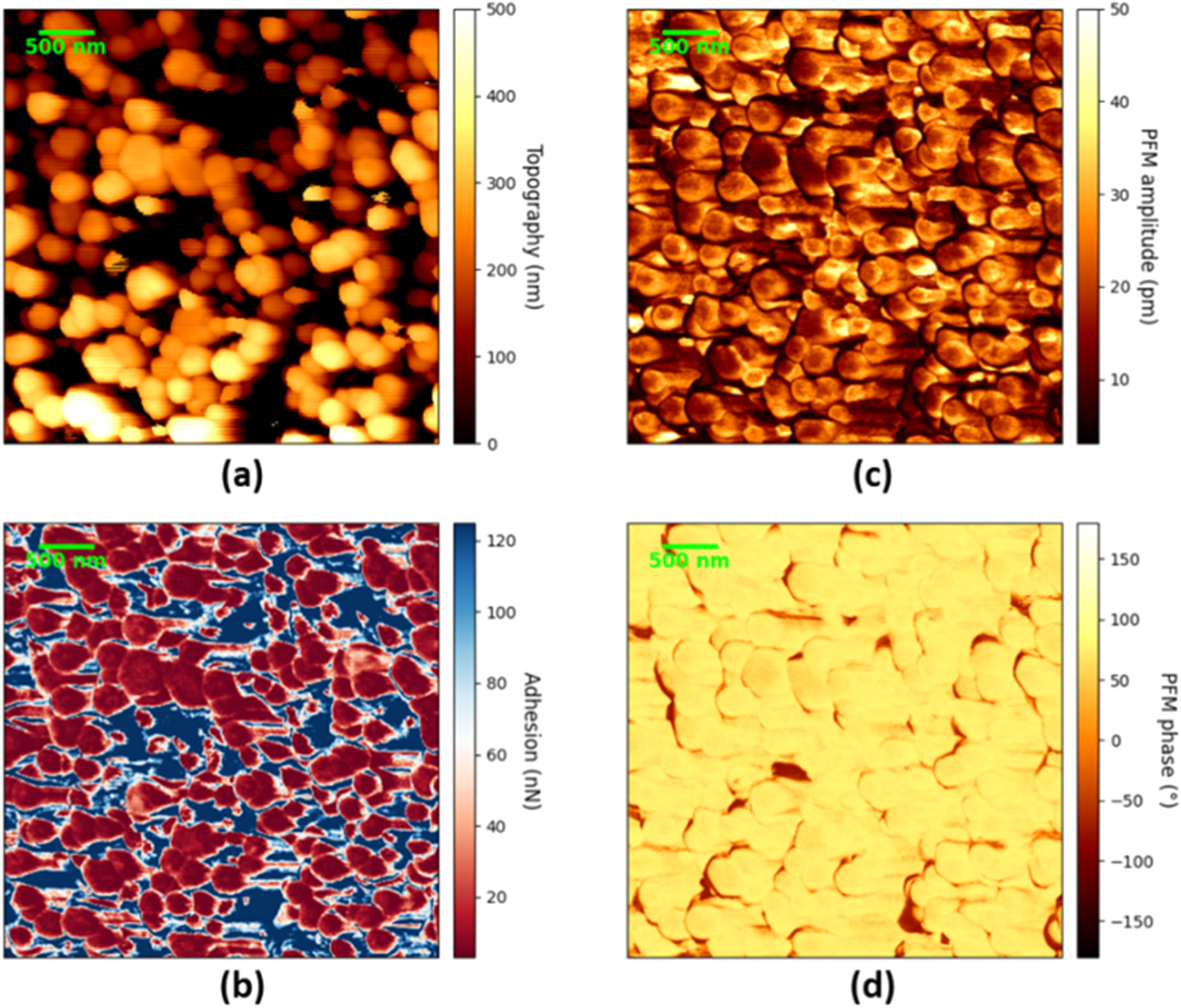 Investigation of the diameter-dependent piezoelectric response of ...