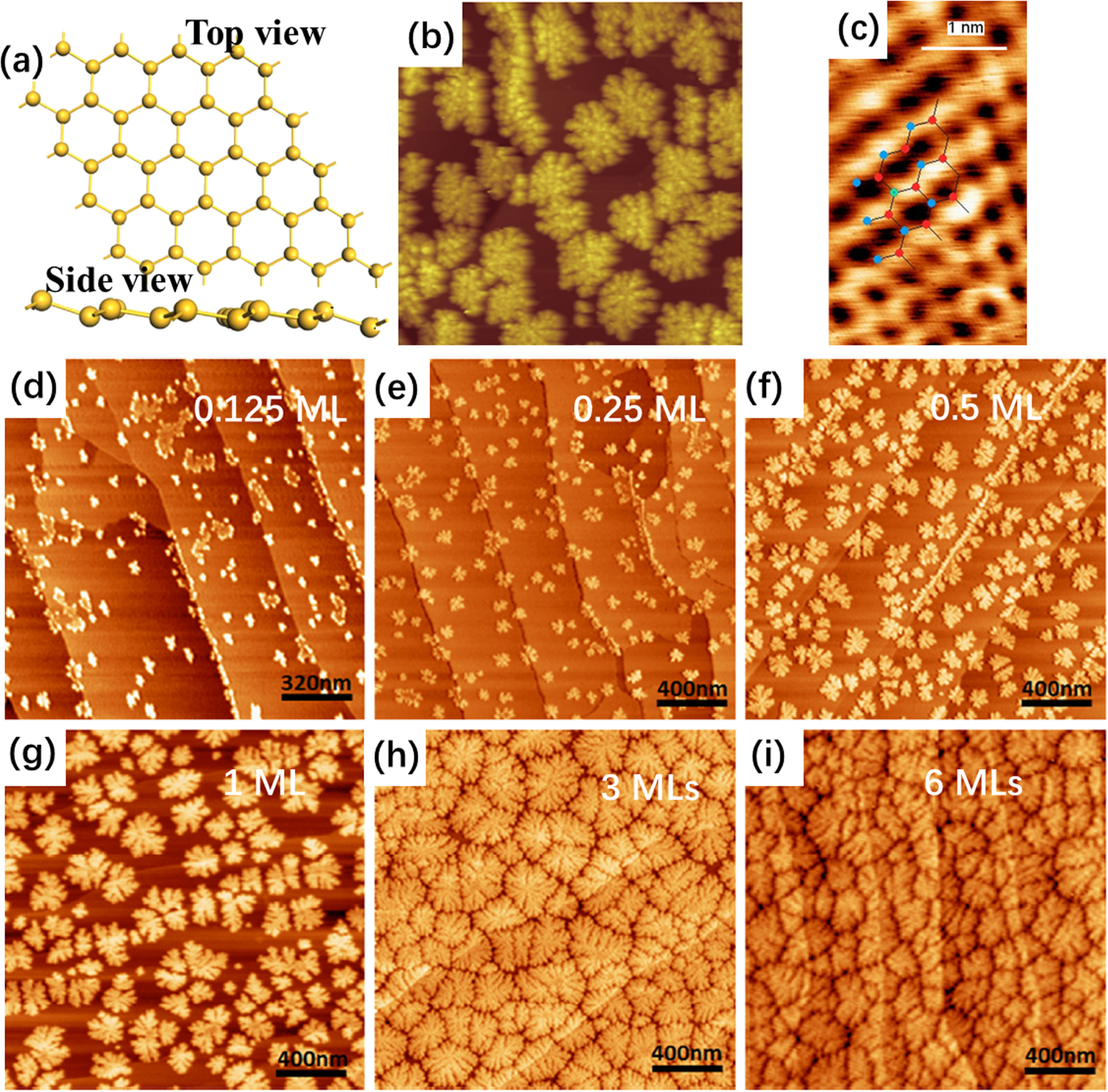 Molecular beam epitaxy growth and scanning tunneling microscopy study ...