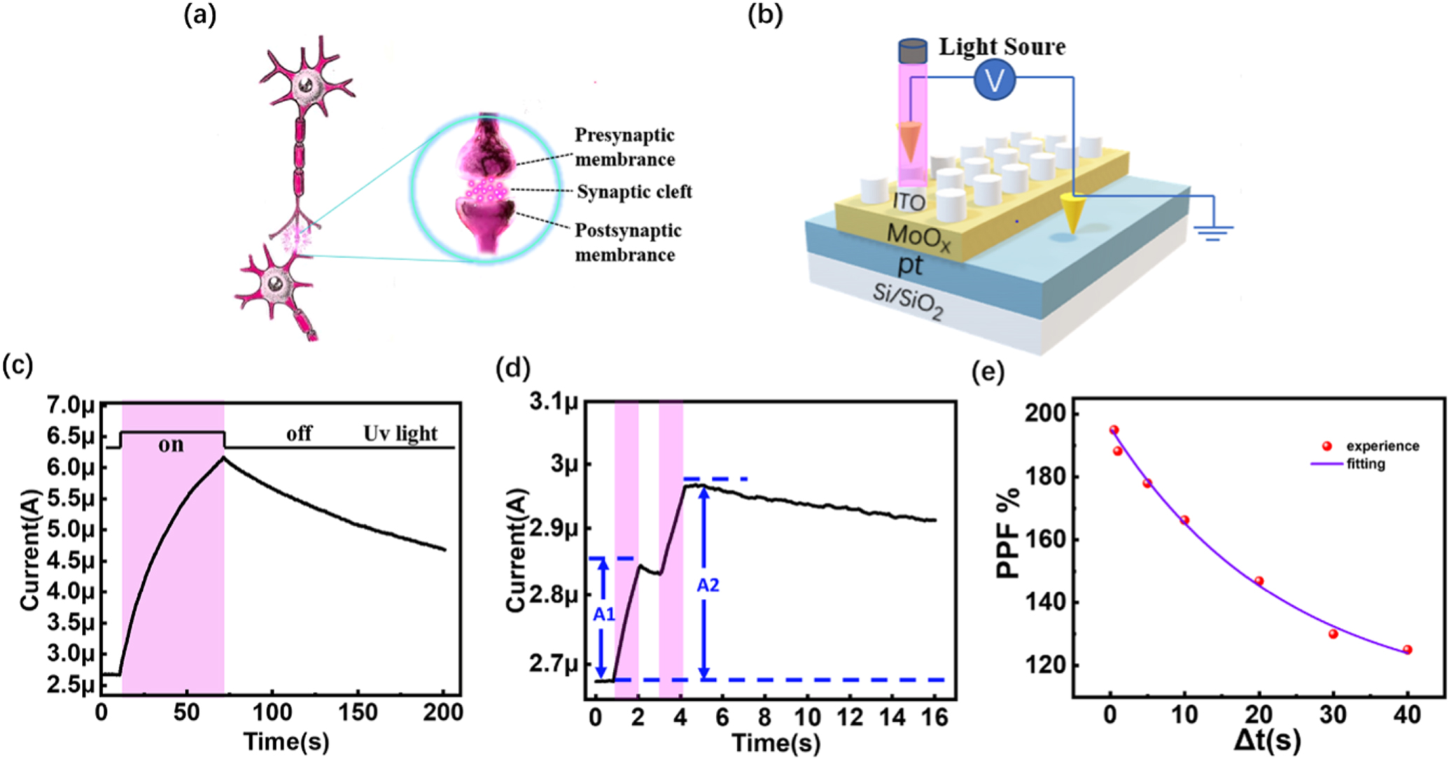 An artificial optoelectronic synapse based on MoO x film - IOPscience