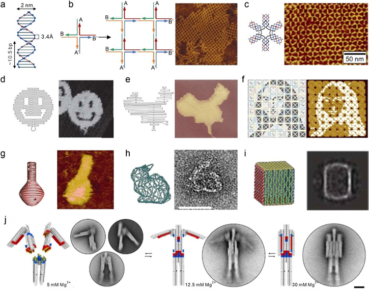 Towards atom manufacturing with framework nucleic acids - IOPscience