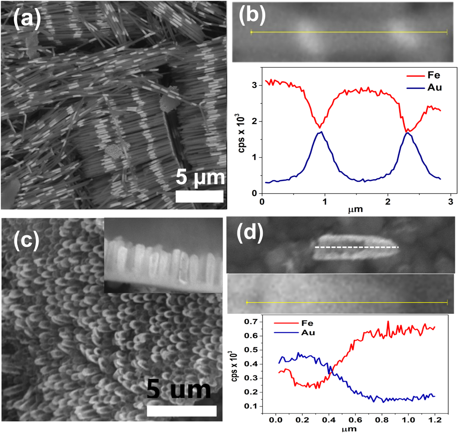 From multi-segmented to core/shell nanorods: morphology evolution in Fe ...