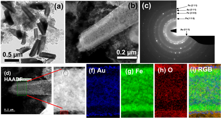 From multi-segmented to core/shell nanorods: morphology evolution in Fe ...
