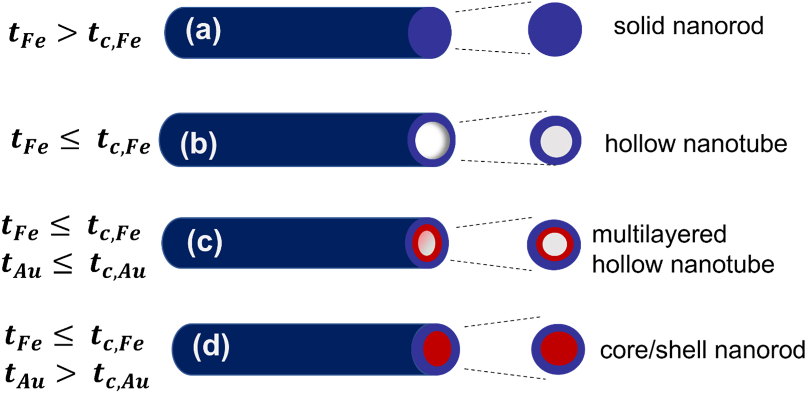 From multi-segmented to core/shell nanorods: morphology evolution in Fe ...
