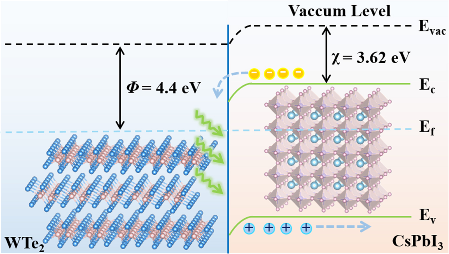 Hybrid mixed-dimensional WTe2/CsPbI3 perovskite heterojunction for high ...