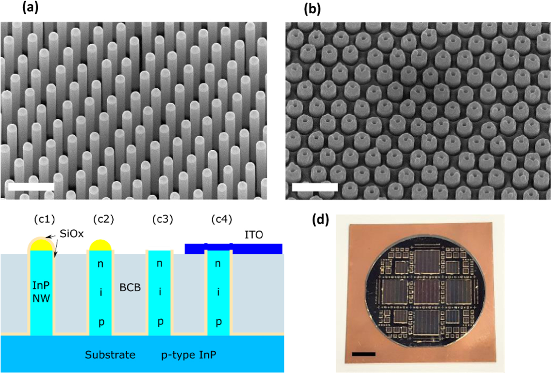 Processing and characterization of large area InP nanowire photovoltaic ...
