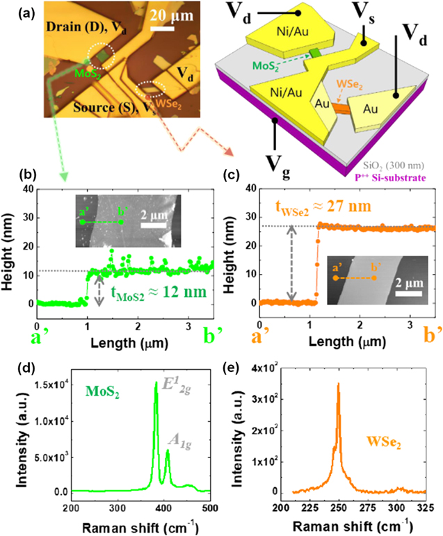 Two-dimensional material-based complementary ambipolar field-effect ...