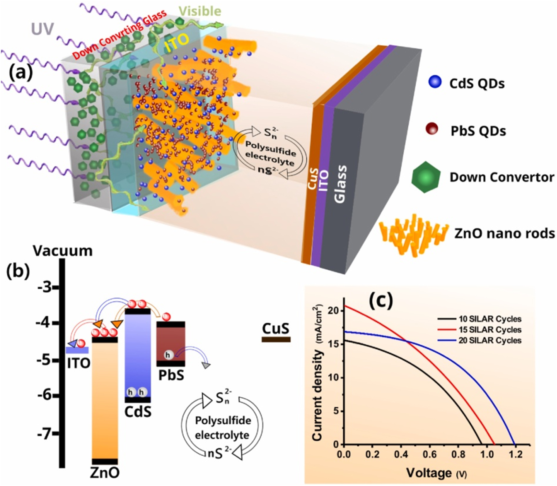 Recent progress in solar cells based on one dimensional ZnO ...