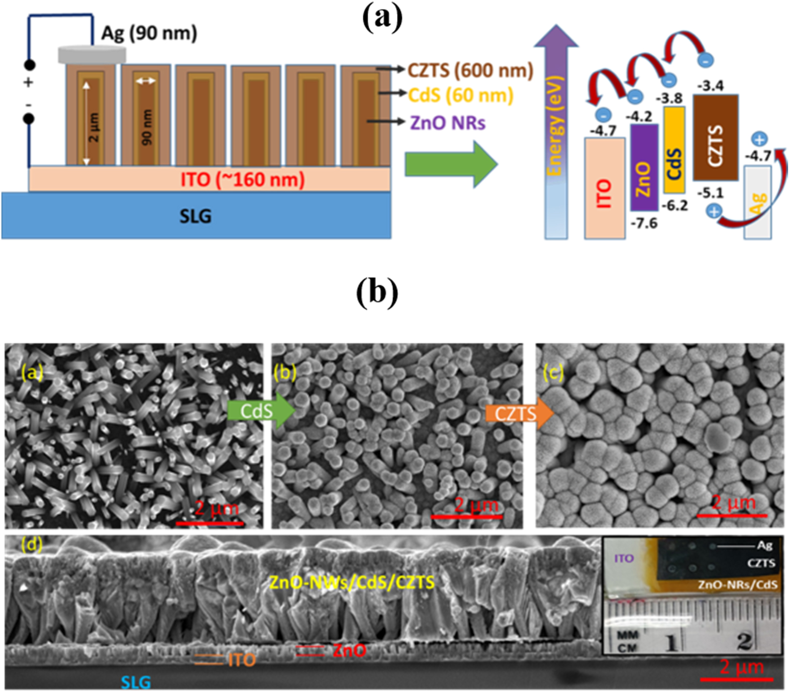 Recent progress in solar cells based on one dimensional ZnO ...