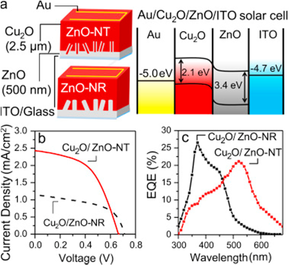 Recent progress in solar cells based on one dimensional ZnO ...