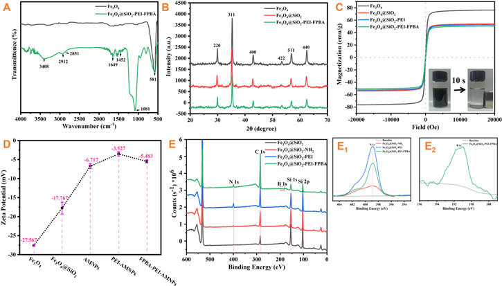 High-sensitivity biosensor based on SERS integrated with dendrimer ...