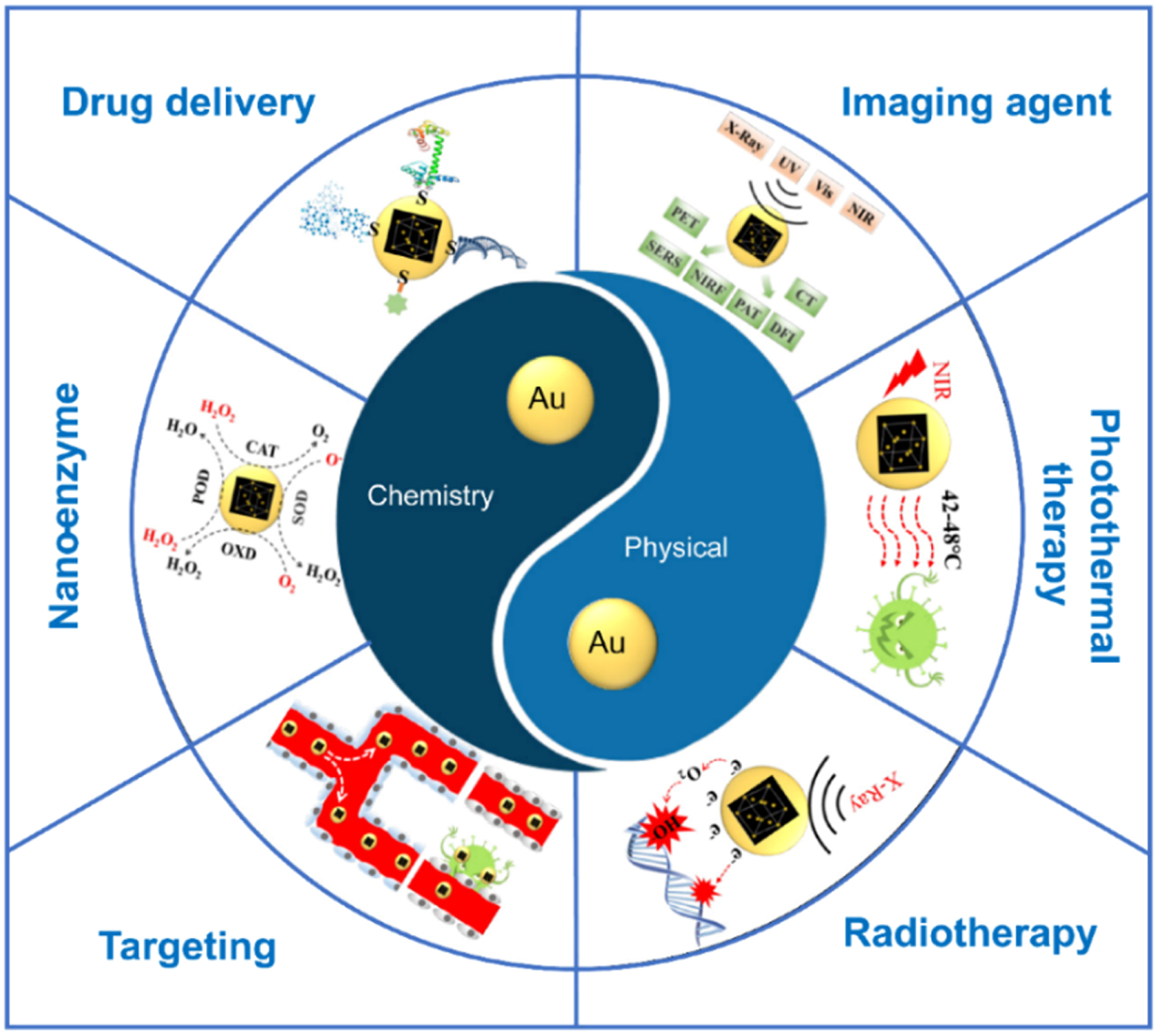 Synthesis, characterization, and applications of gold nanoparticles in ...