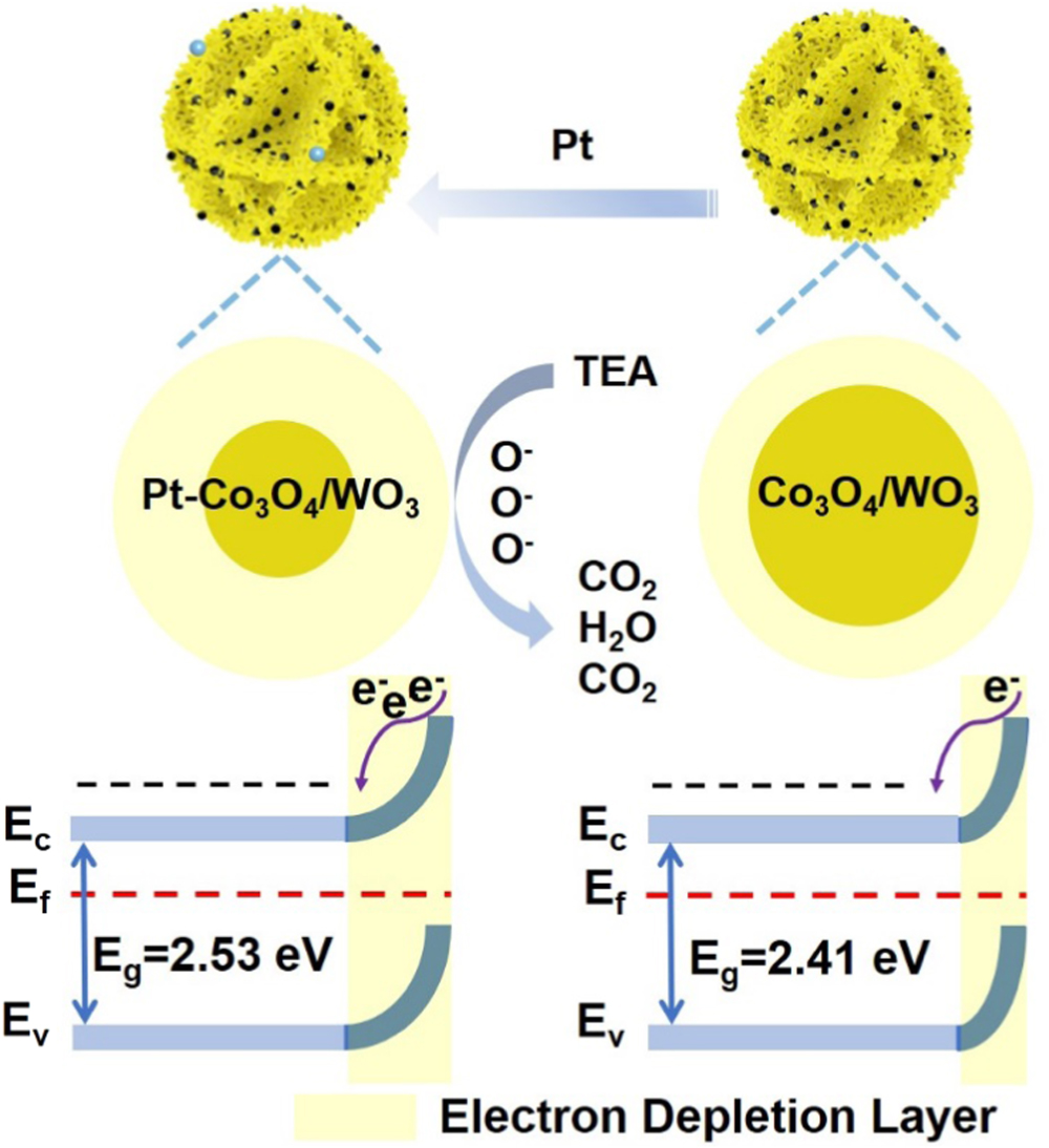 Highly sensitive triethylamine gas sensor by Pt-loaded p–n ...