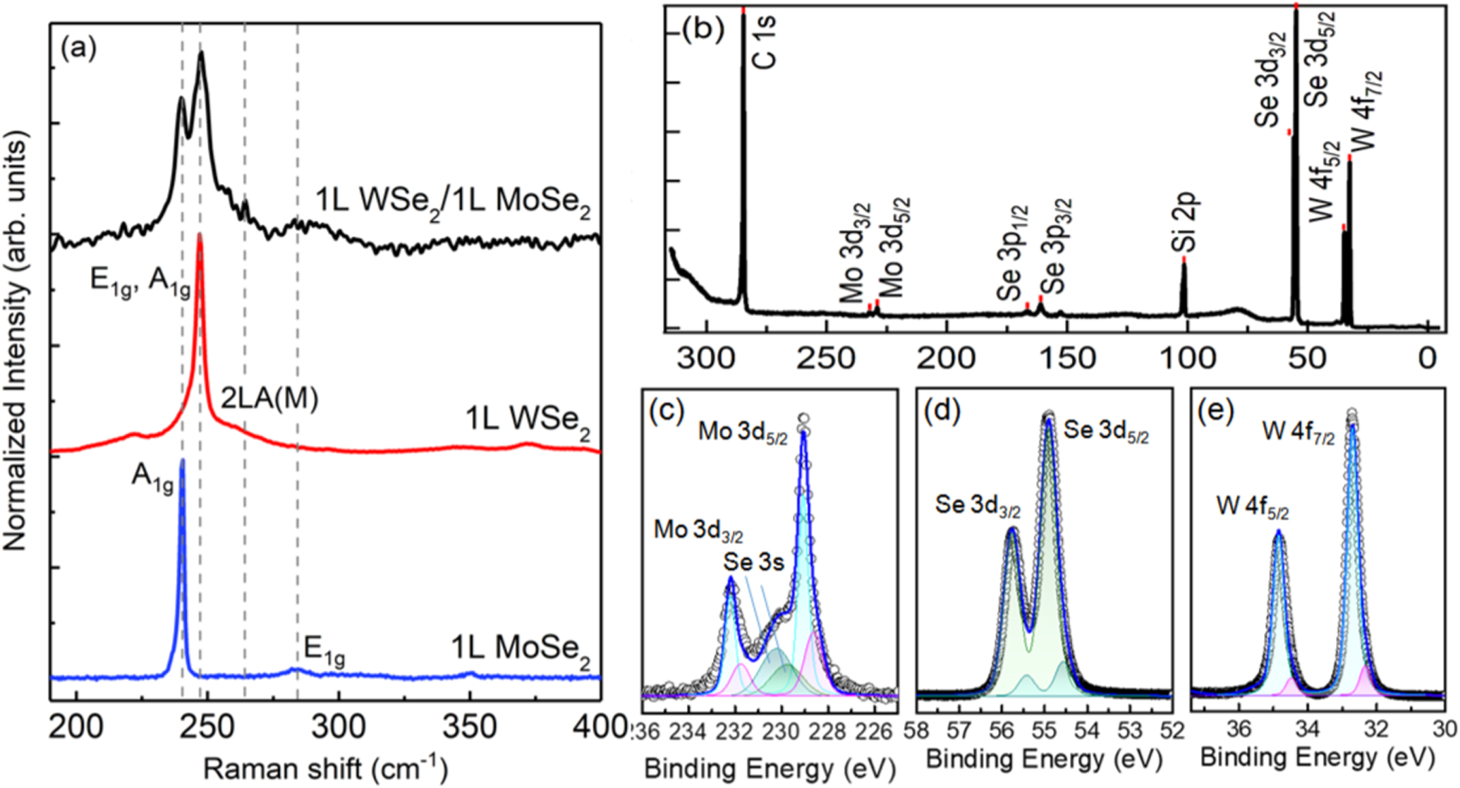 Hybridization and localized flat band in the WSe2/MoSe2 heterobilayer ...