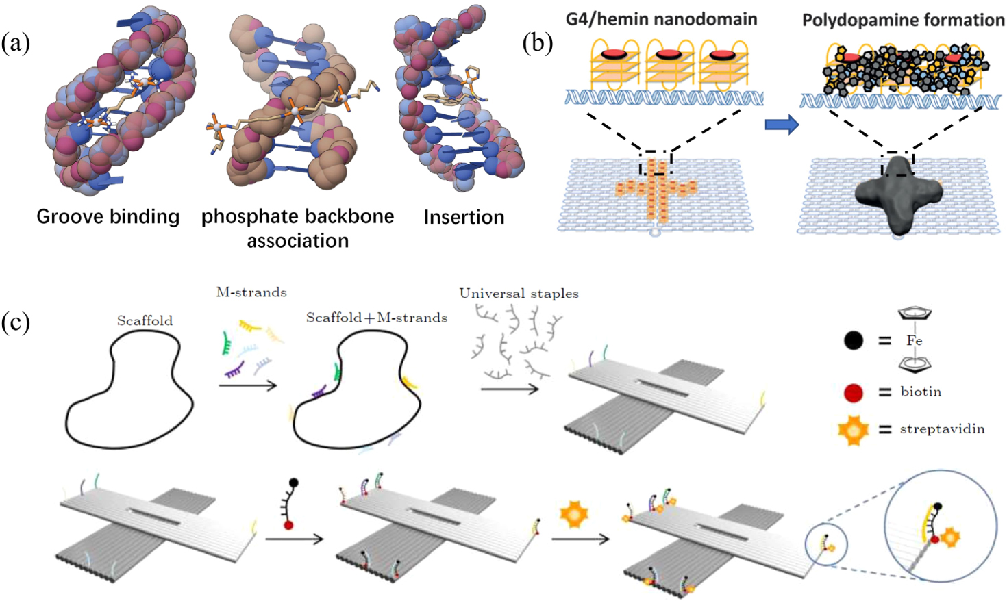 Opportunities and challenges for DNA in atomic and close-to-atomic ...