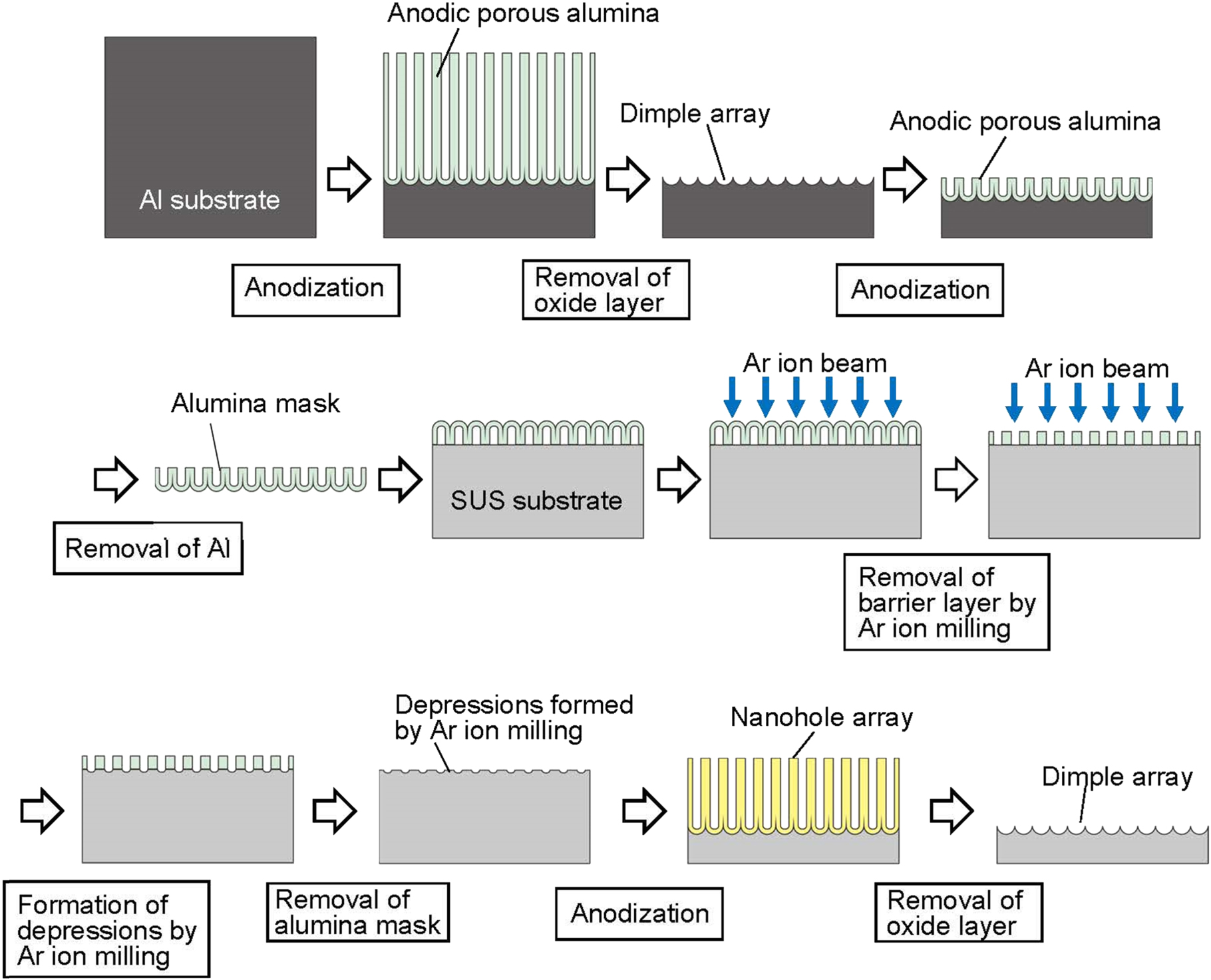 Effects of anodization conditions of stainless steel on the formation ...