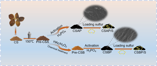 Carbon P Shell P-doped porous carbon from camellia shell for high-performance room ...