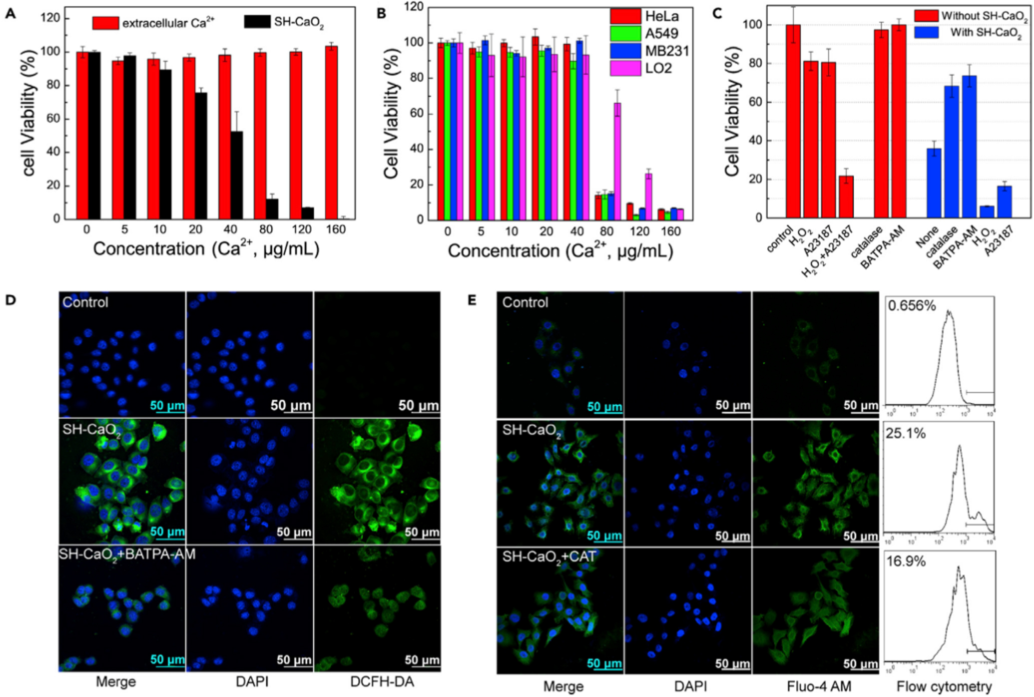 CaO2 nanomedicines: a review of their emerging roles in cancer therapy ...