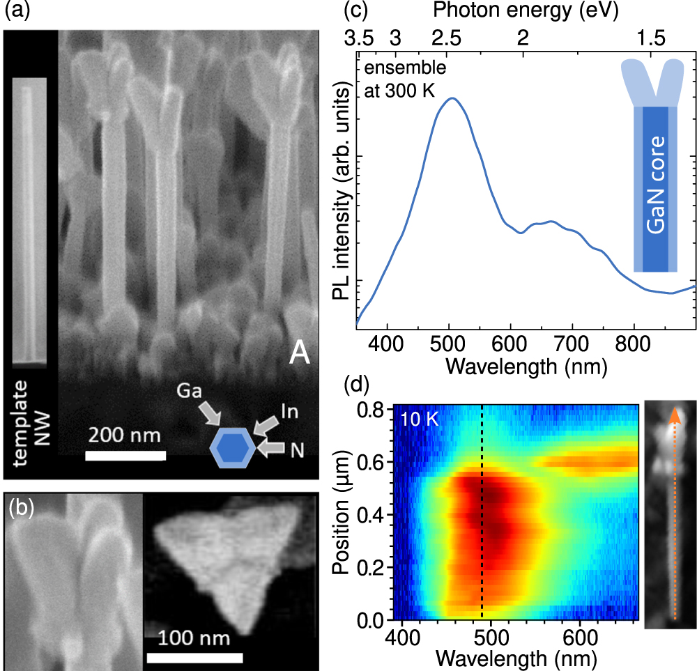Growth mechanisms in molecular beam epitaxy for GaN-(In,Ga)N core–shell ...