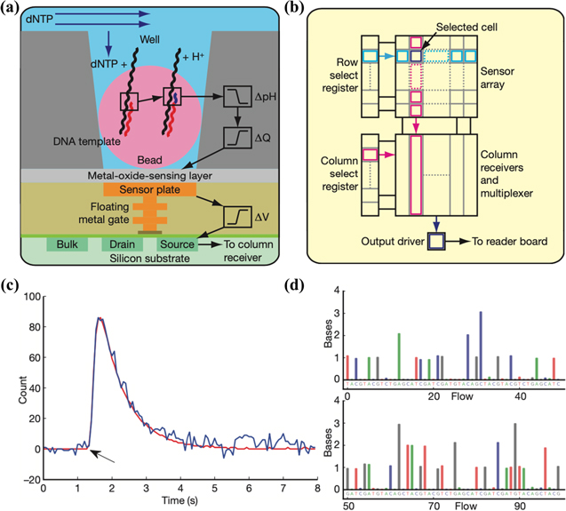 Advances in field-effect biosensors towards point-of-use - IOPscience