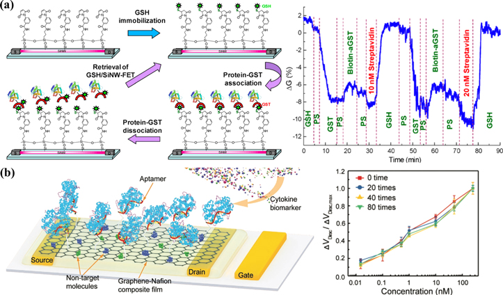 Advances in field-effect biosensors towards point-of-use - IOPscience