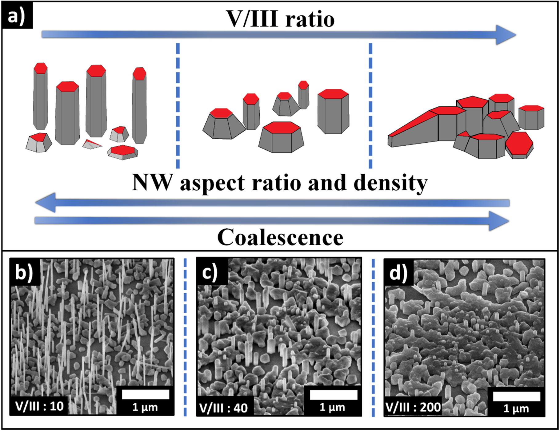 Large-area epitaxial growth of InAs nanowires and thin films on ...